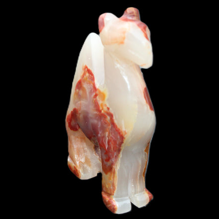 Afghan Jade hand-carved Camel 80*24*103mm 222g in sunlight - Rocks and Things Store