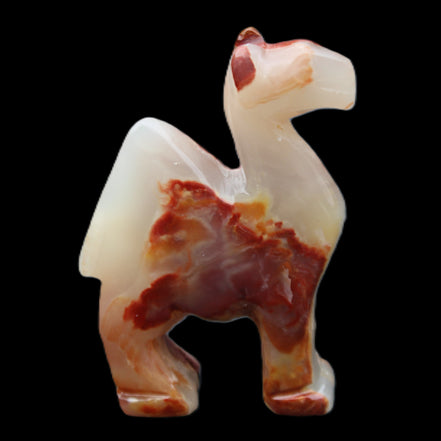 Afghan Jade hand-carved Camel 80*24*103mm 222g in sunlight - Rocks and Things Store
