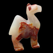 Afghan Jade hand-carved Camel 80*24*103mm 222g in sunlight - Rocks and Things Store
