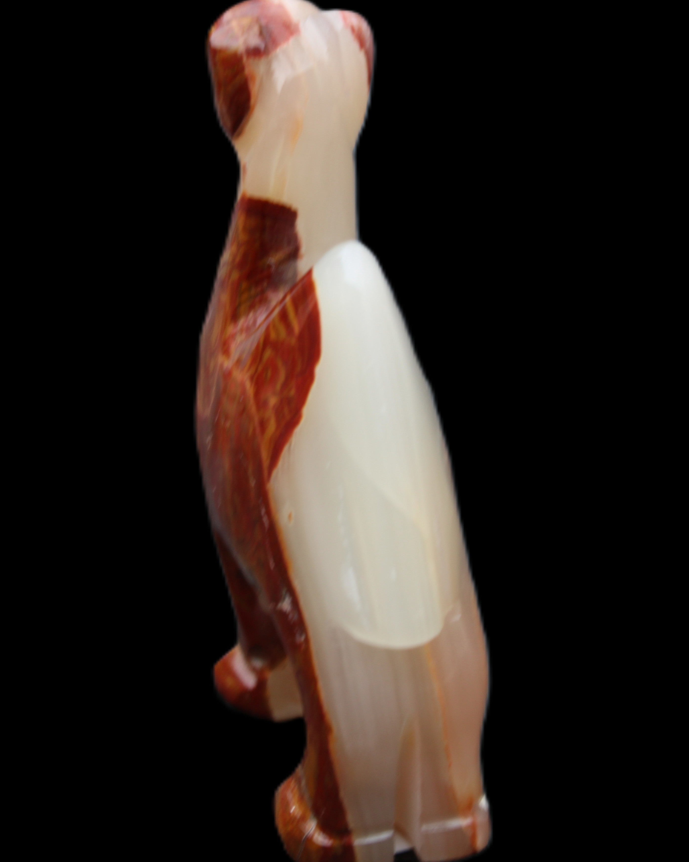 Afghan Jade hand-carved Camel 80*24*103mm 222g in sunlight - Rocks and Things Store