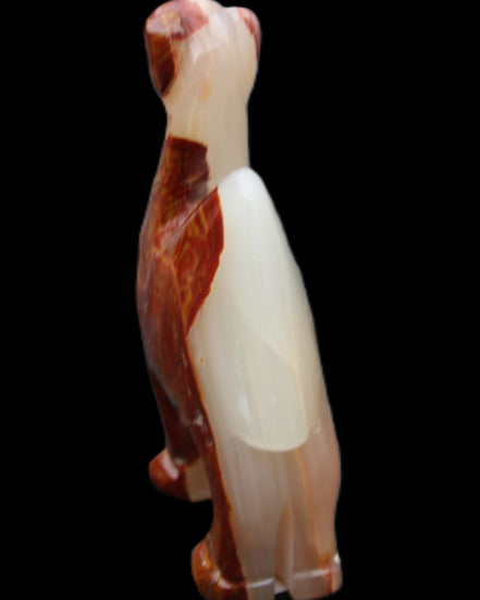 Afghan Jade hand-carved Camel 80*24*103mm 222g in sunlight - Rocks and Things Store