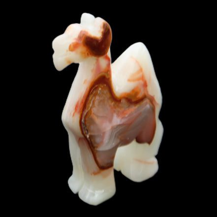 Afghan Jade hand-carved Camel 70*26*105mm 256g in sunlight - Rocks and Things Store