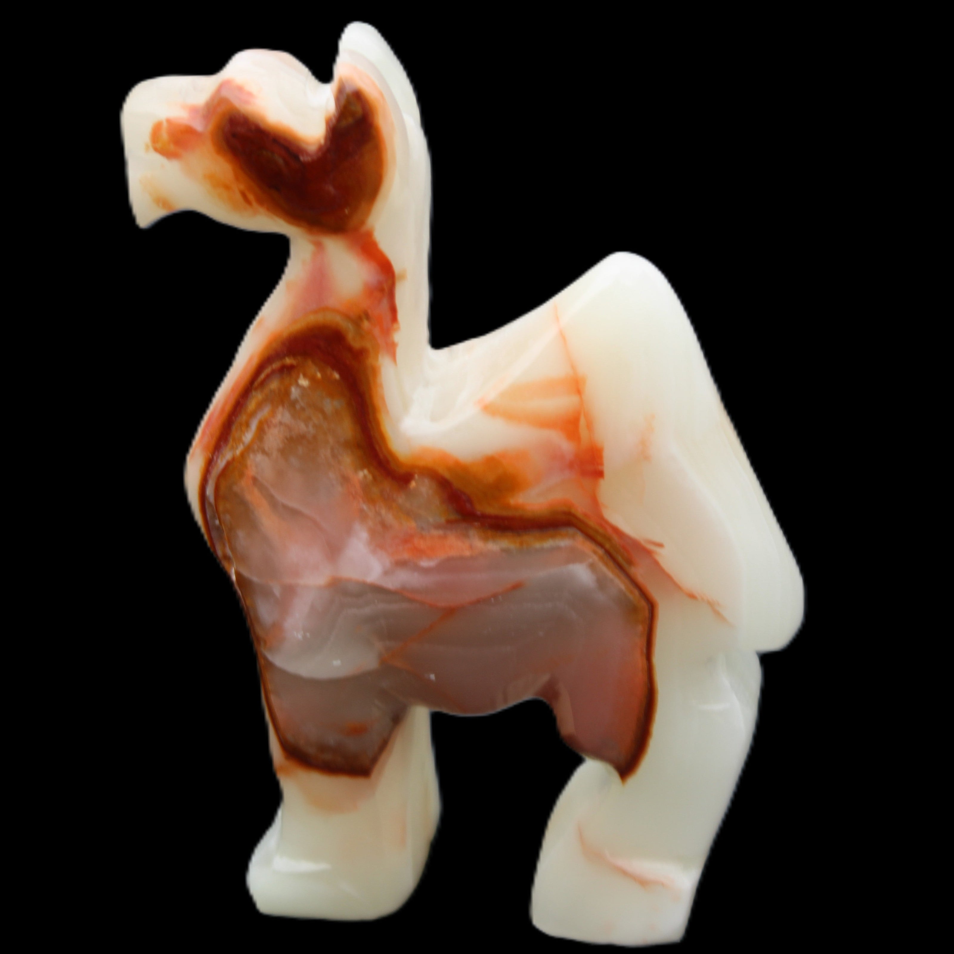 Afghan Jade hand-carved Camel 70*26*105mm 256g in sunlight - Rocks and Things Store