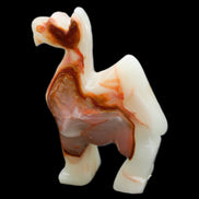 Afghan Jade hand-carved Camel 70*26*105mm 256g in sunlight - Rocks and Things Store