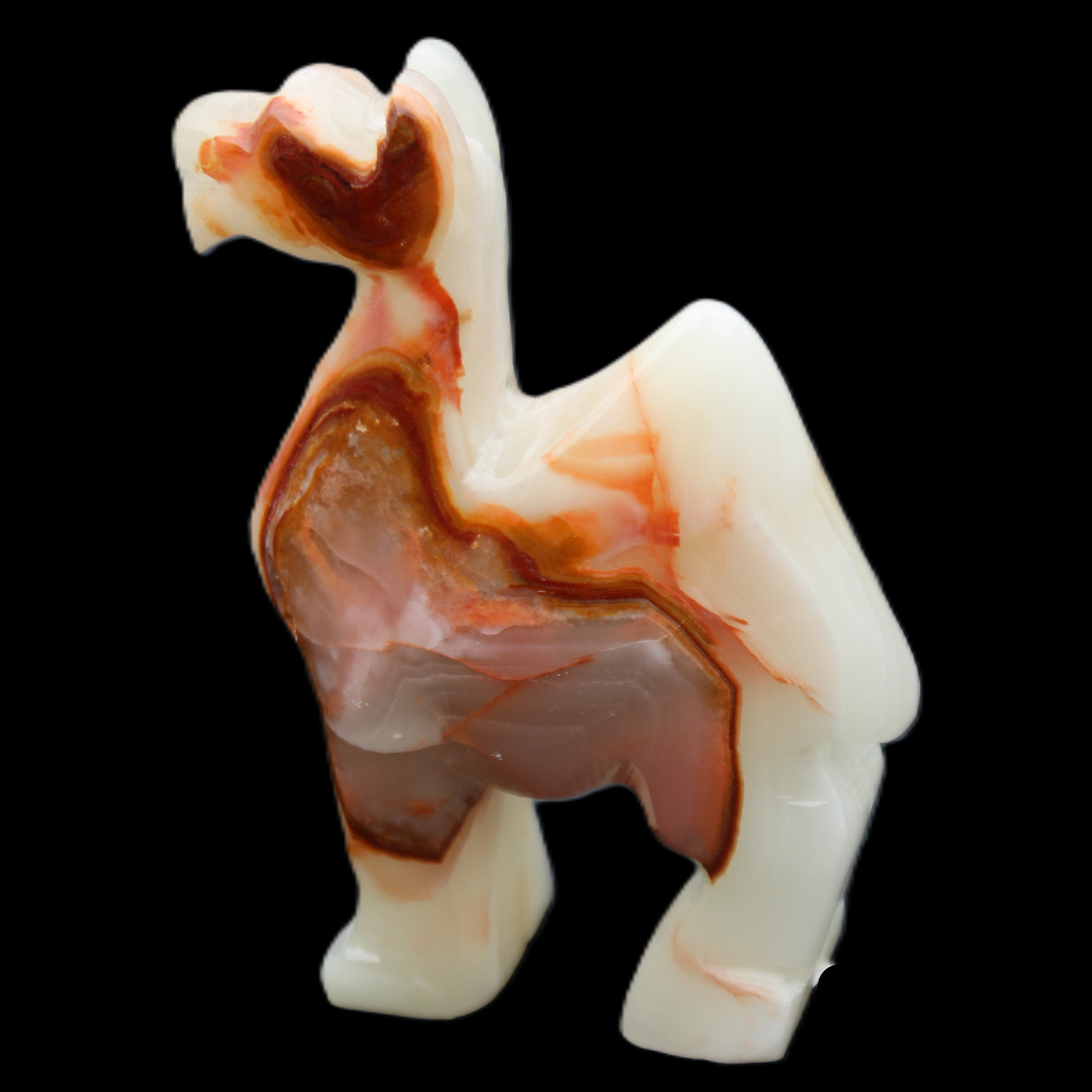 Afghan Jade hand-carved Camel 70*26*105mm 256g in sunlight - Rocks and Things Store