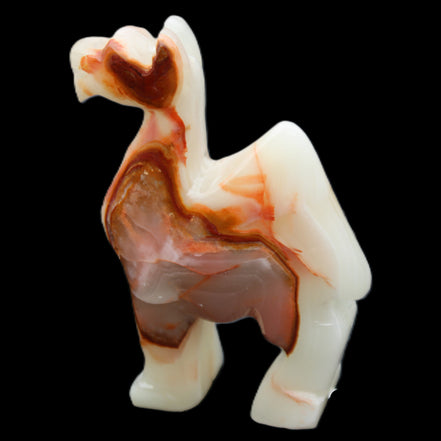 Afghan Jade hand-carved Camel 70*26*105mm 256g in sunlight - Rocks and Things Store