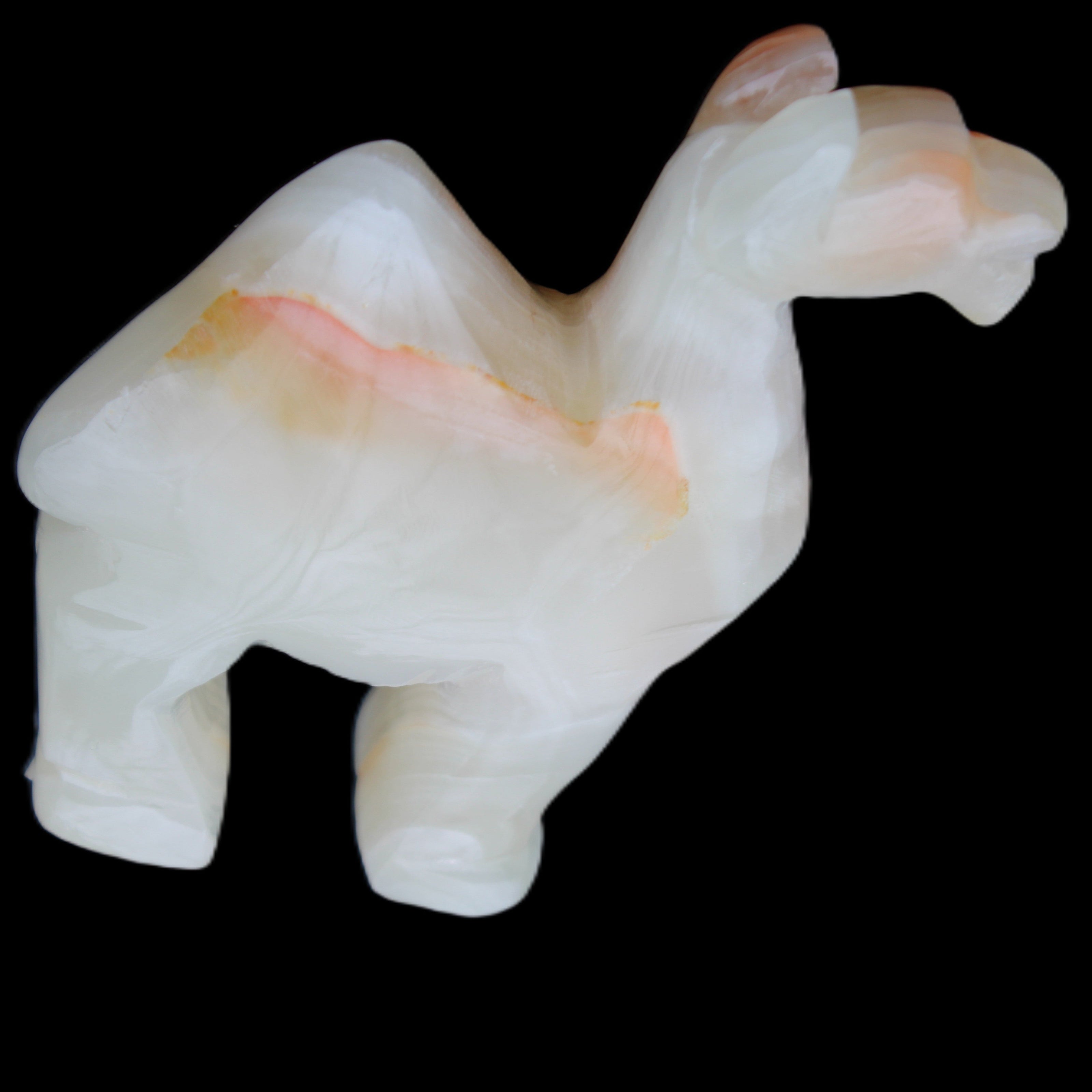 Afghan Jade hand-carved Camel 70*26*105mm 256g in sunlight - Rocks and Things Store