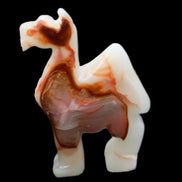 Afghan Jade hand-carved Camel 70*26*105mm 256g in sunlight - Rocks and Things Store