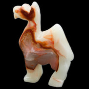 Afghan Jade hand-carved Camel 70*26*105mm 256g in sunlight - Rocks and Things Store