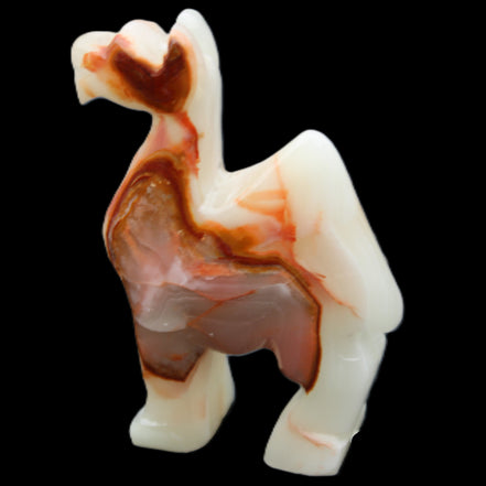 Afghan Jade hand-carved Camel 70*26*105mm 256g in sunlight - Rocks and Things Store