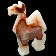 Afghan Jade hand-carved Camel 70*26*105mm 256g in sunlight - Rocks and Things Store