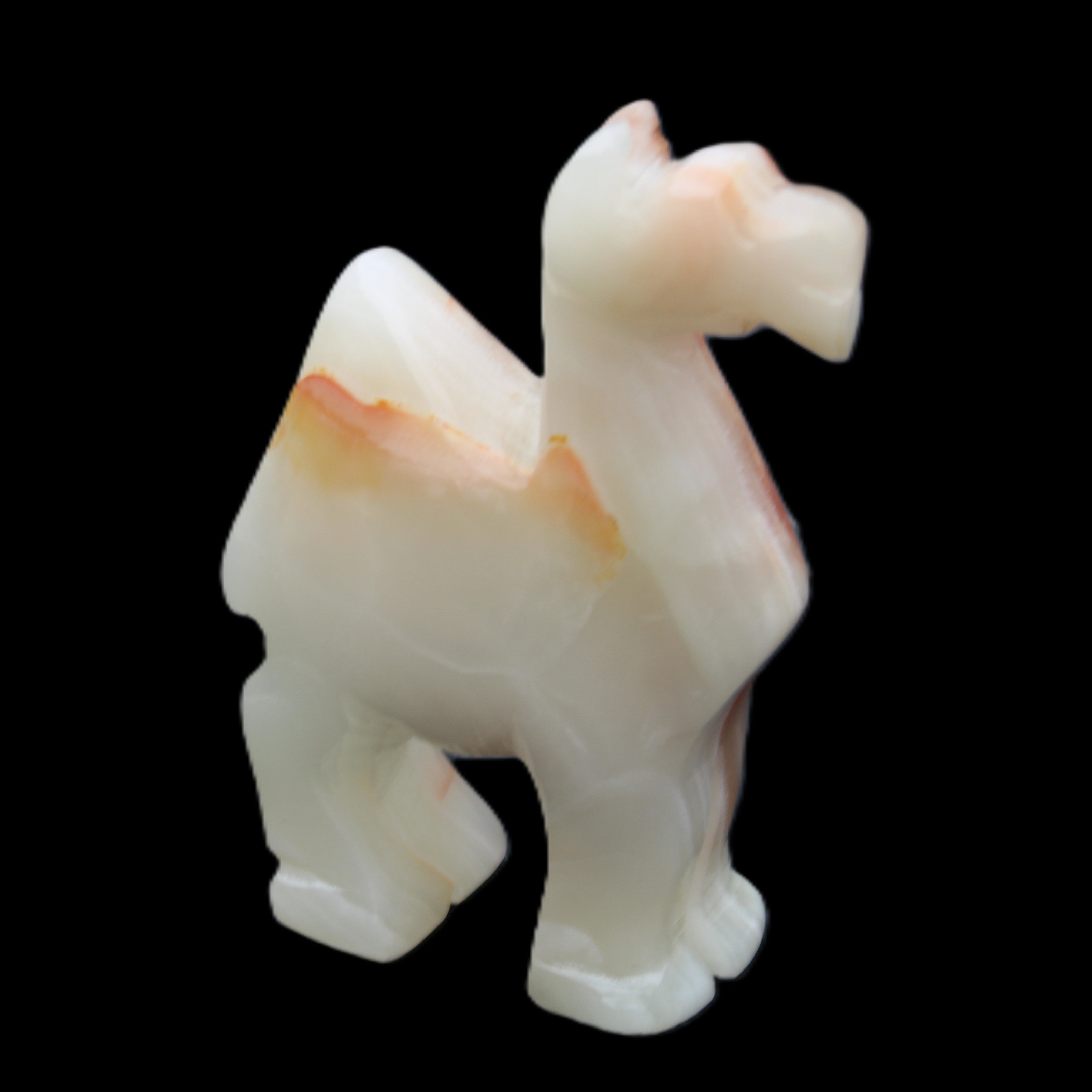 Afghan Jade hand-carved Camel 70*26*105mm 256g in sunlight - Rocks and Things Store