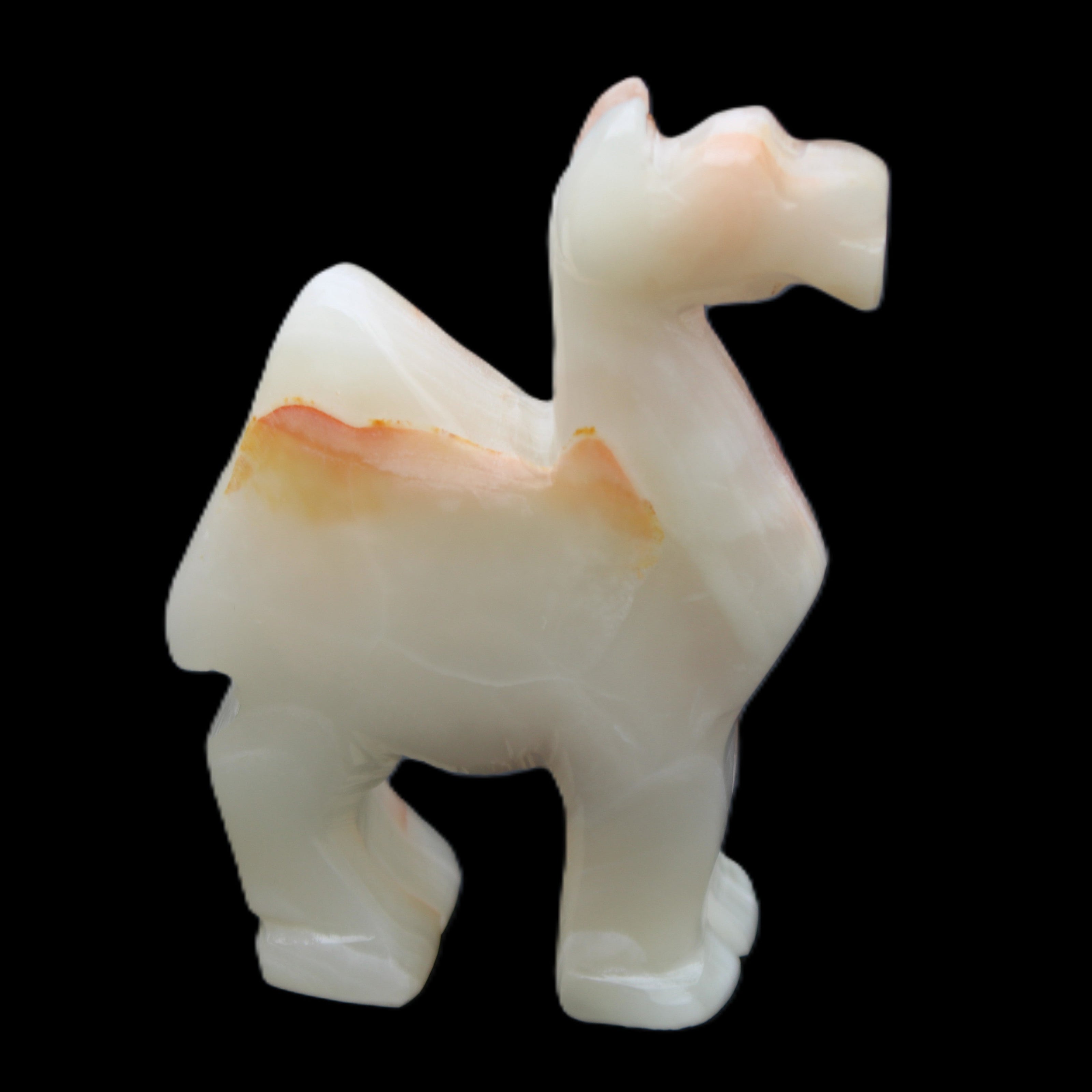 Afghan Jade hand-carved Camel 70*26*105mm 256g in sunlight - Rocks and Things Store