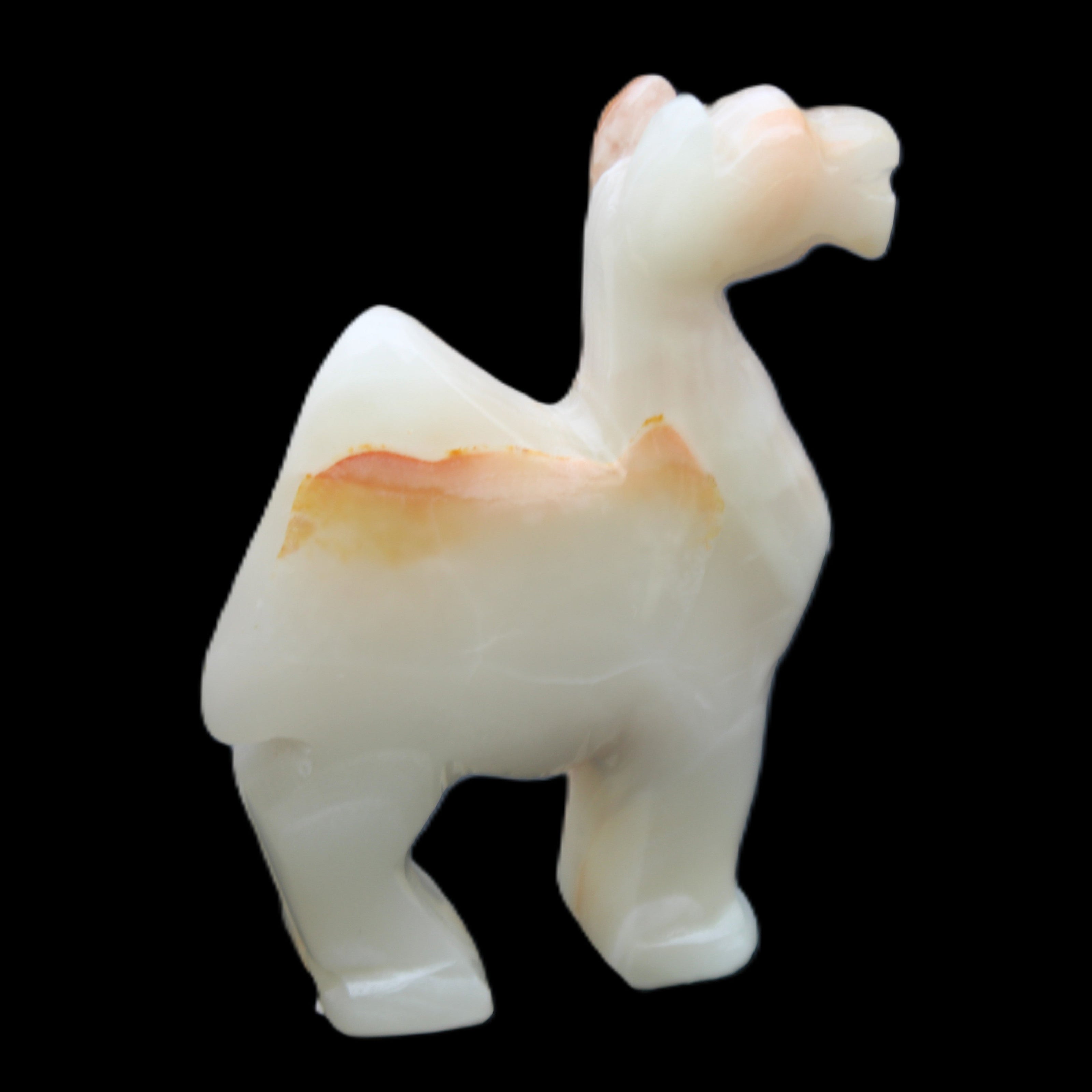 Afghan Jade hand-carved Camel 70*26*105mm 256g in sunlight - Rocks and Things Store