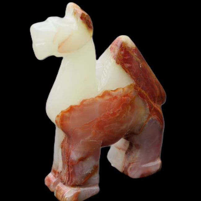 Afghan Jade hand-carved Camel 73*30*105mm 270g in sunlight - Rocks and Things Store