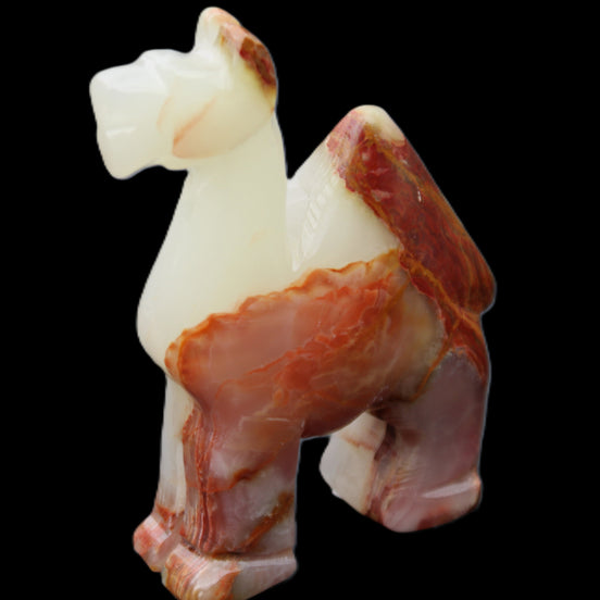 Afghan Jade hand-carved Camel 73*30*105mm 270g in sunlight - Rocks and Things Store