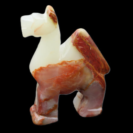 Afghan Jade hand-carved Camel 73*30*105mm 270g in sunlight - Rocks and Things Store