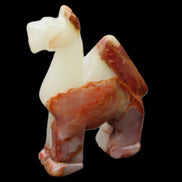 Afghan Jade hand-carved Camel 73*30*105mm 270g in sunlight - Rocks and Things Store