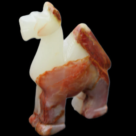 Afghan Jade hand-carved Camel 73*30*105mm 270g in sunlight - Rocks and Things Store