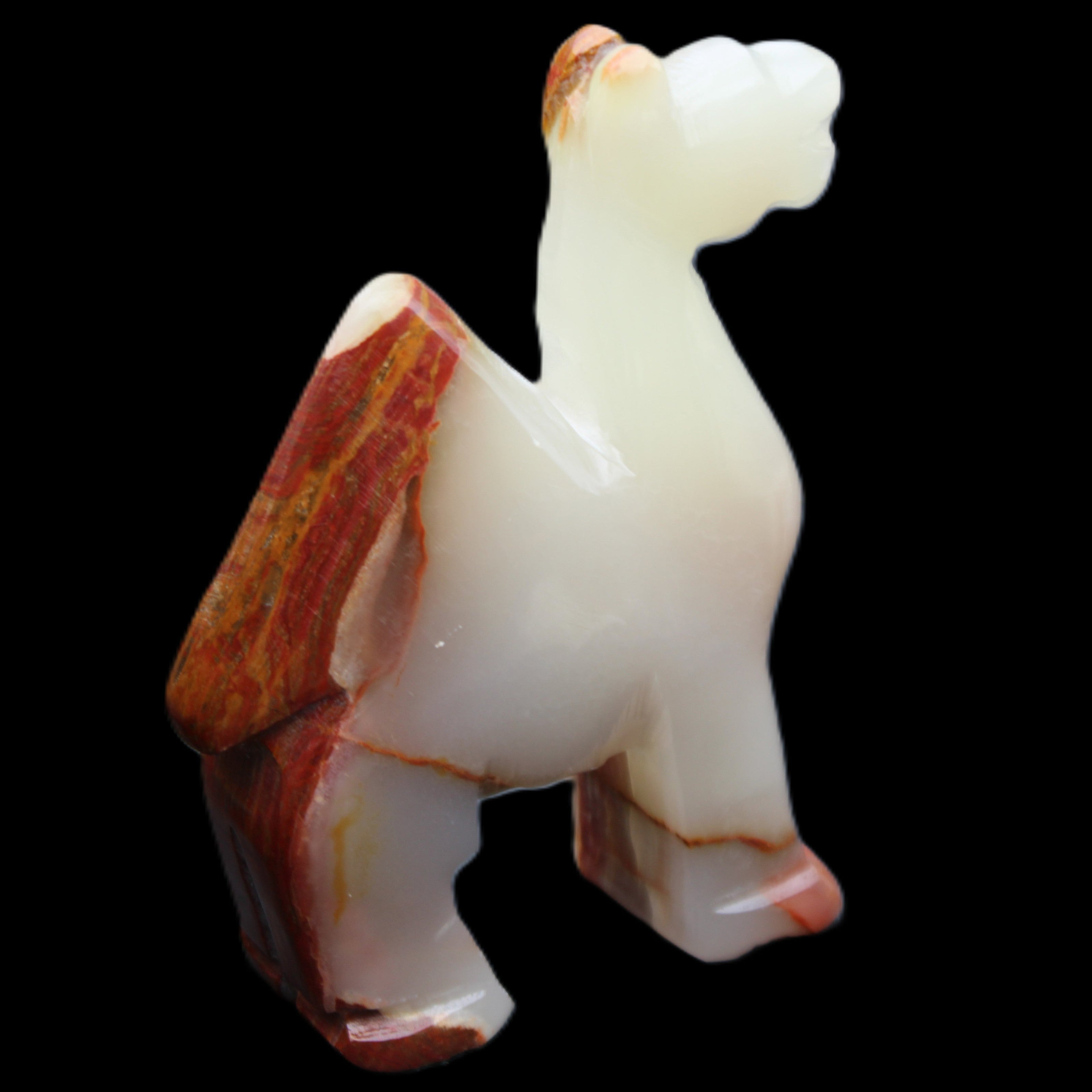Afghan Jade hand-carved Camel 73*30*105mm 270g in sunlight - Rocks and Things Store