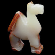Afghan Jade hand-carved Camel 73*30*105mm 270g in sunlight - Rocks and Things Store