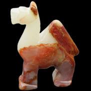 Afghan Jade hand-carved Camel 73*30*105mm 270g in sunlight - Rocks and Things Store
