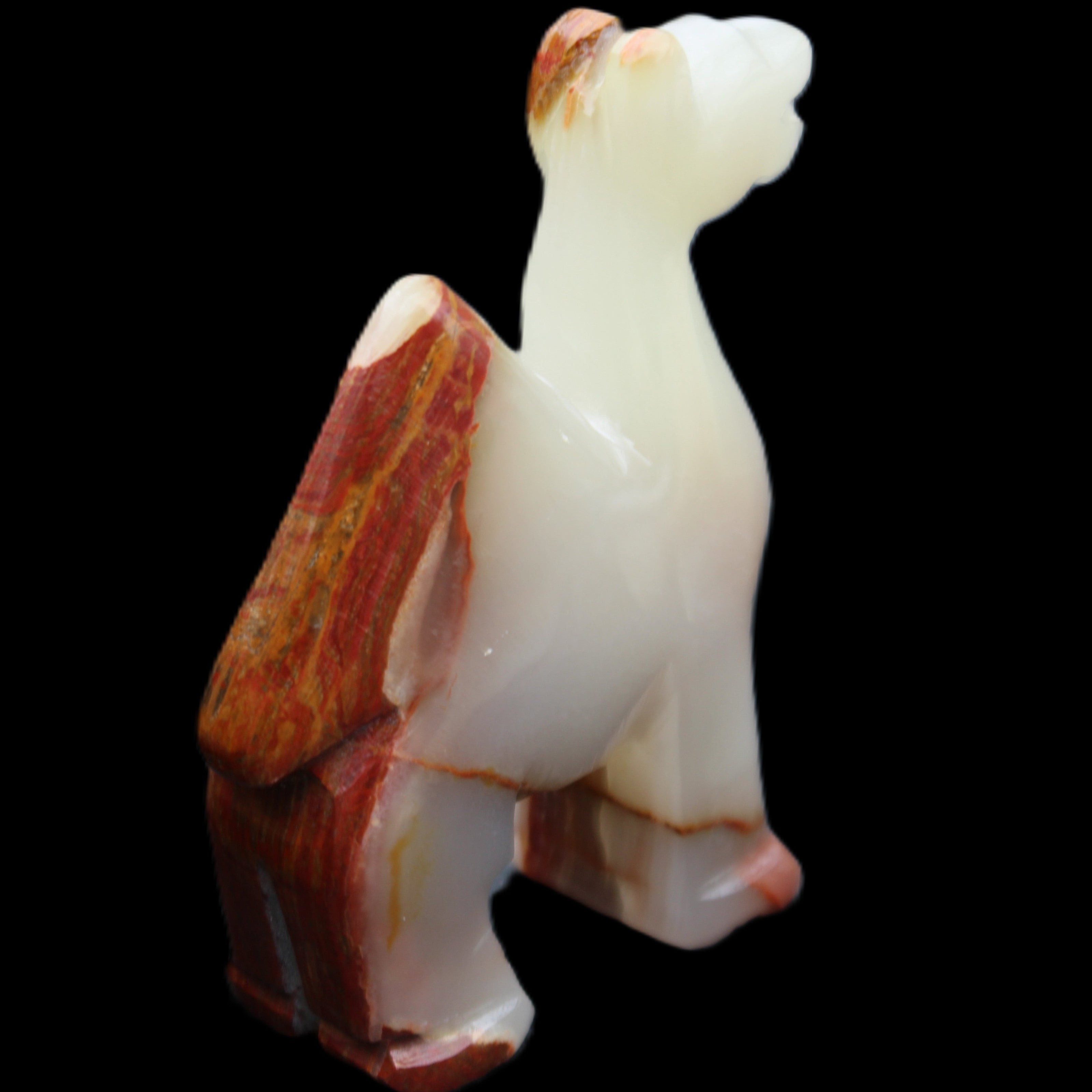 Afghan Jade hand-carved Camel 73*30*105mm 270g in sunlight - Rocks and Things Store