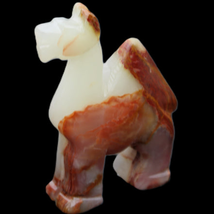 Afghan Jade hand-carved Camel 73*30*105mm 270g in sunlight - Rocks and Things Store