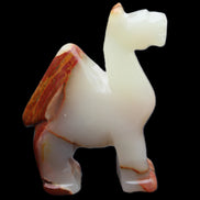 Afghan Jade hand-carved Camel 73*30*105mm 270g in sunlight - Rocks and Things Store