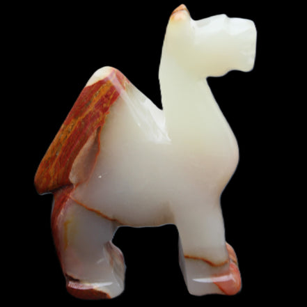 Afghan Jade hand-carved Camel 73*30*105mm 270g in sunlight - Rocks and Things Store