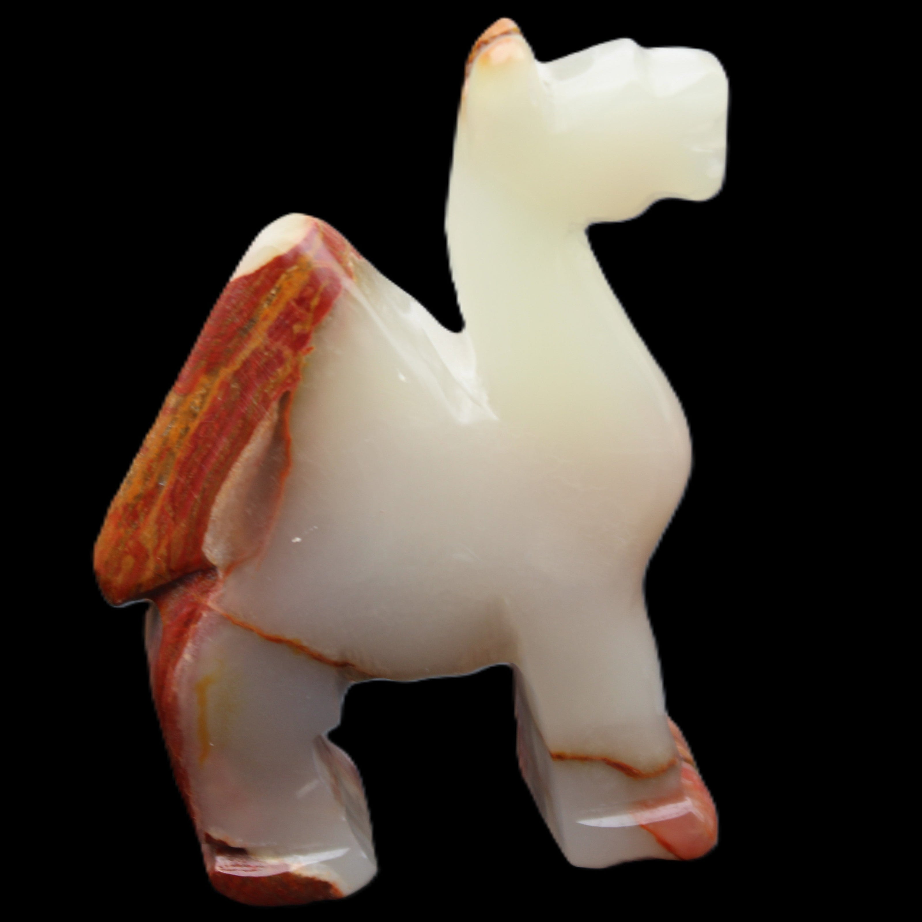Afghan Jade hand-carved Camel 73*30*105mm 270g in sunlight - Rocks and Things Store