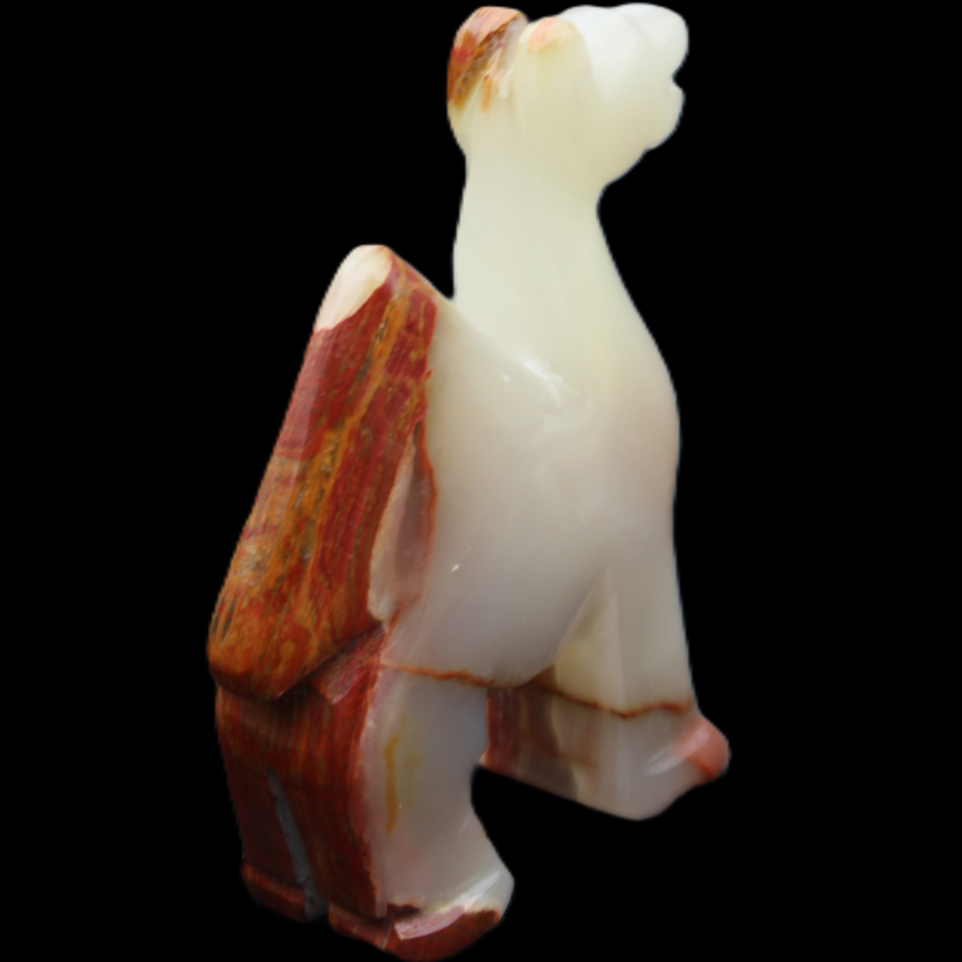 Afghan Jade hand-carved Camel 73*30*105mm 270g in sunlight - Rocks and Things Store