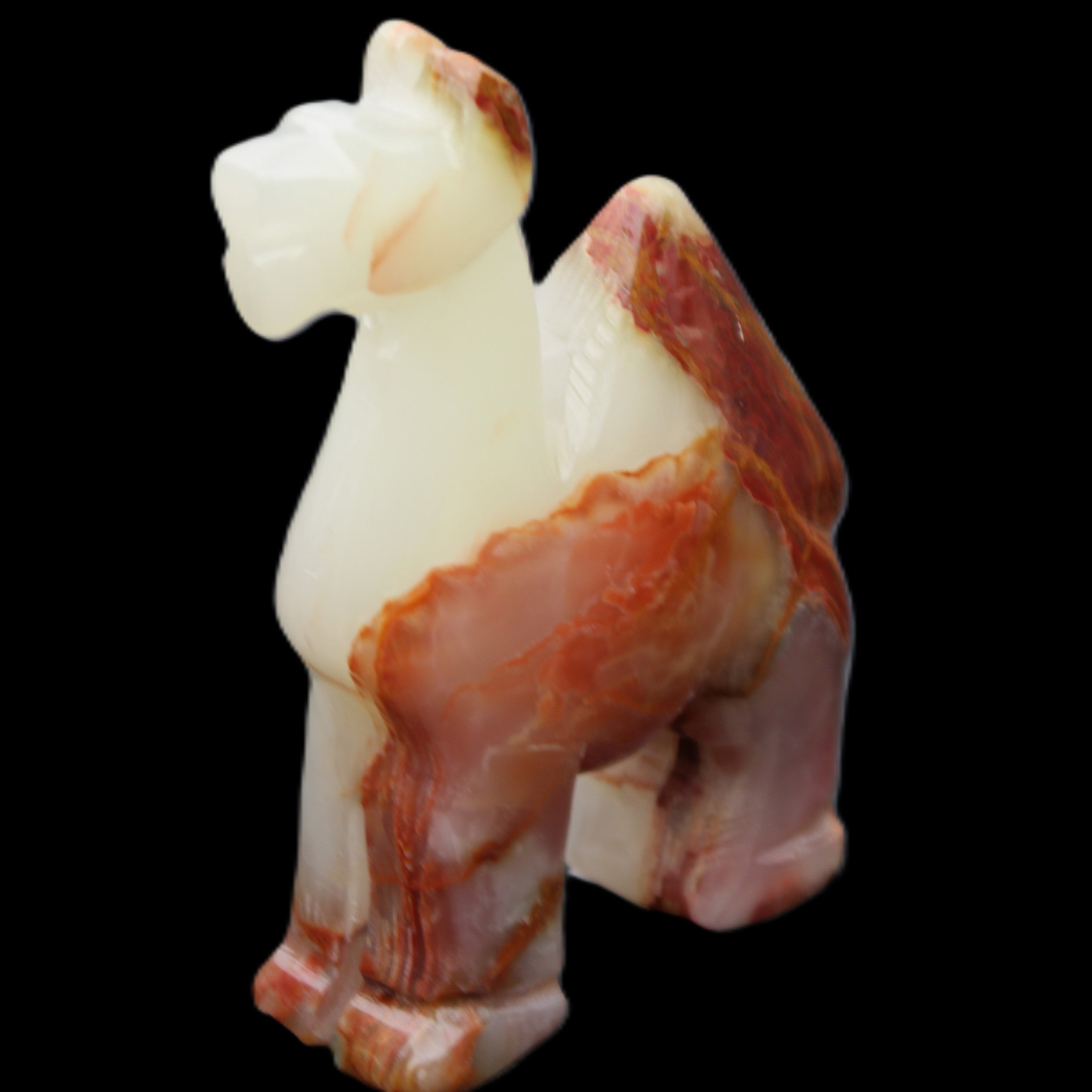 Afghan Jade hand-carved Camel 73*30*105mm 270g in sunlight - Rocks and Things Store