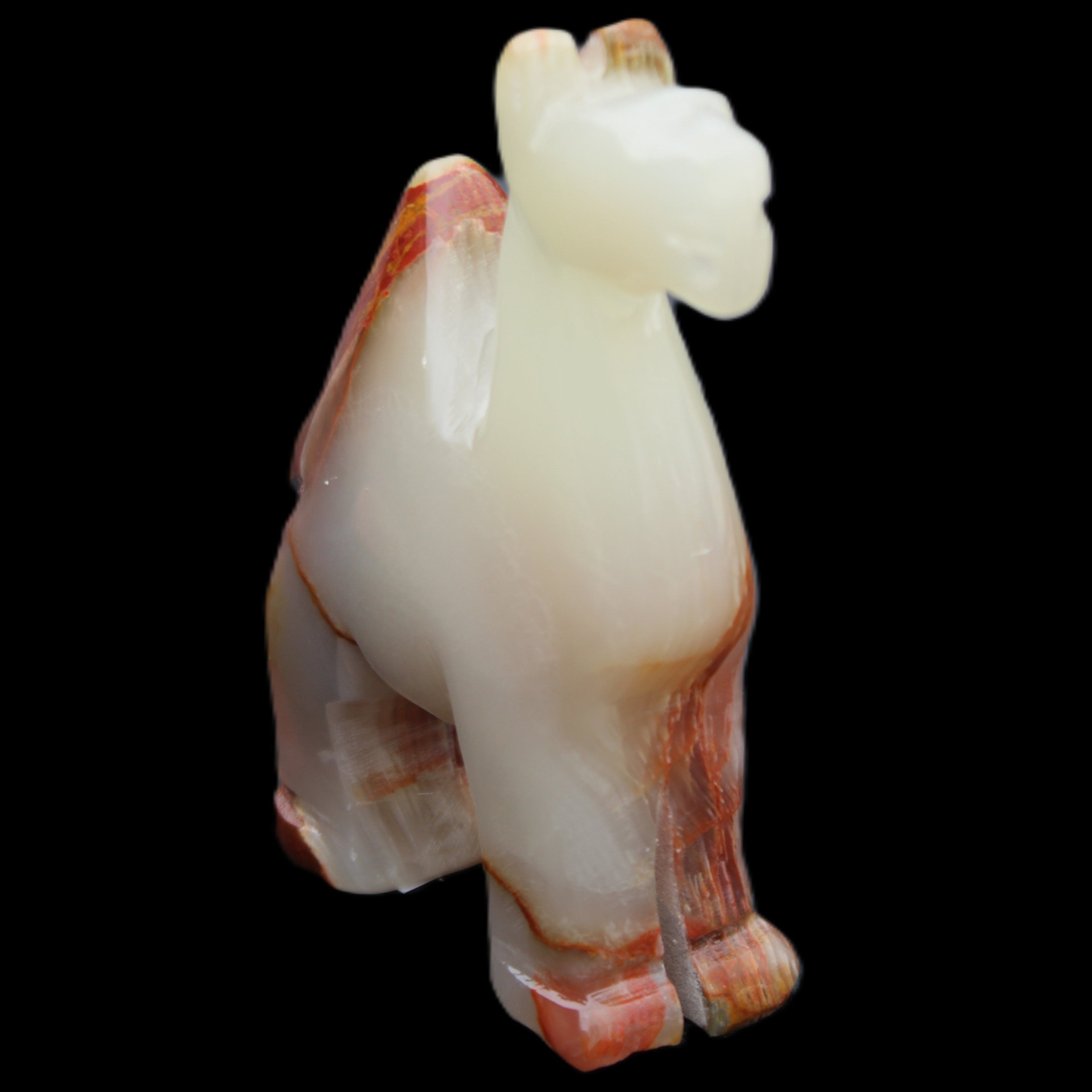 Afghan Jade hand-carved Camel 73*30*105mm 270g in sunlight - Rocks and Things Store