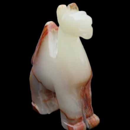 Afghan Jade hand-carved Camel 73*30*105mm 270g in sunlight - Rocks and Things Store