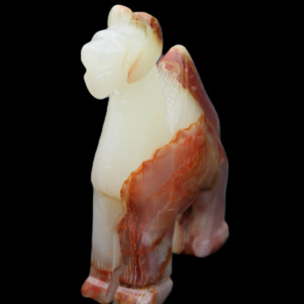 Afghan Jade hand-carved Camel 73*30*105mm 270g in sunlight - Rocks and Things Store
