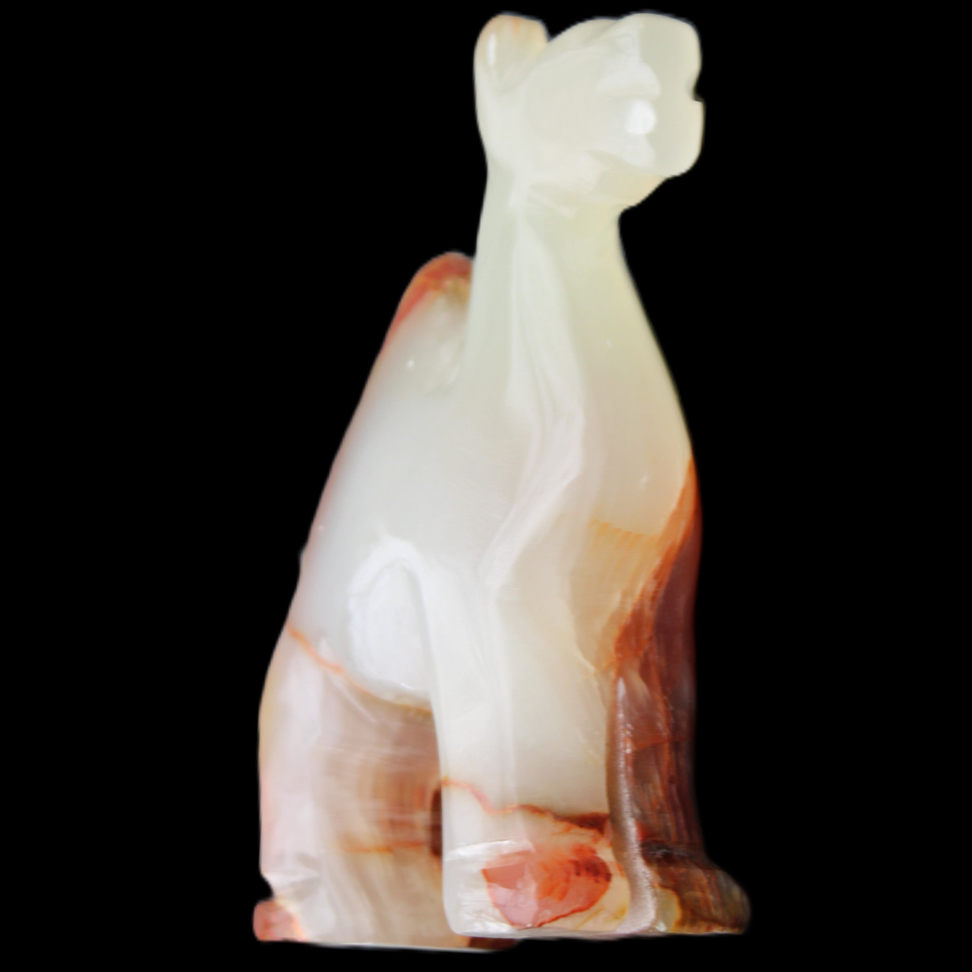 Afghan Jade hand-carved Camel 73*30*105mm 270g in sunlight - Rocks and Things Store