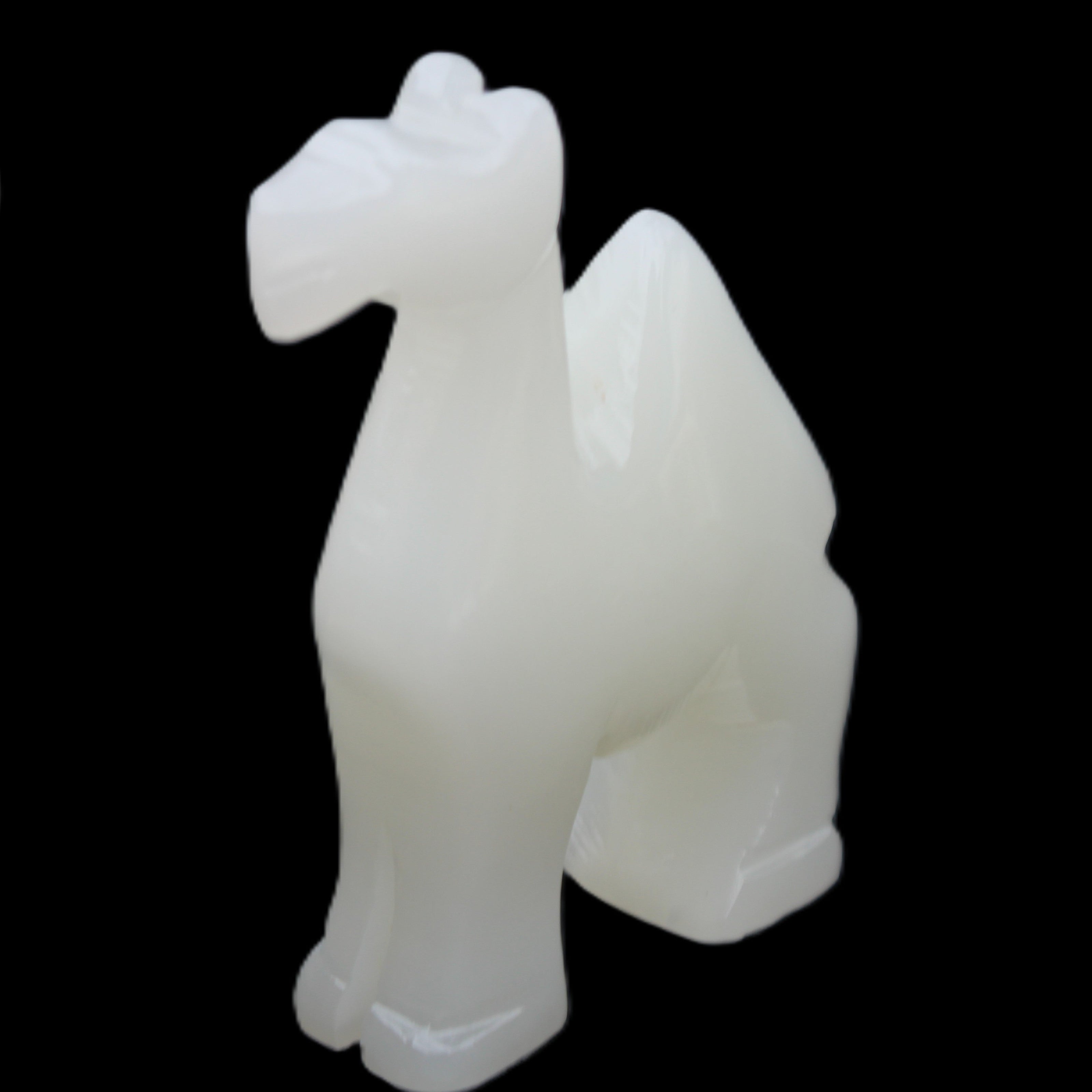 Afghan Jade hand-carved Camel 70*25*98mm 217g in sunlight - Rocks and Things Store