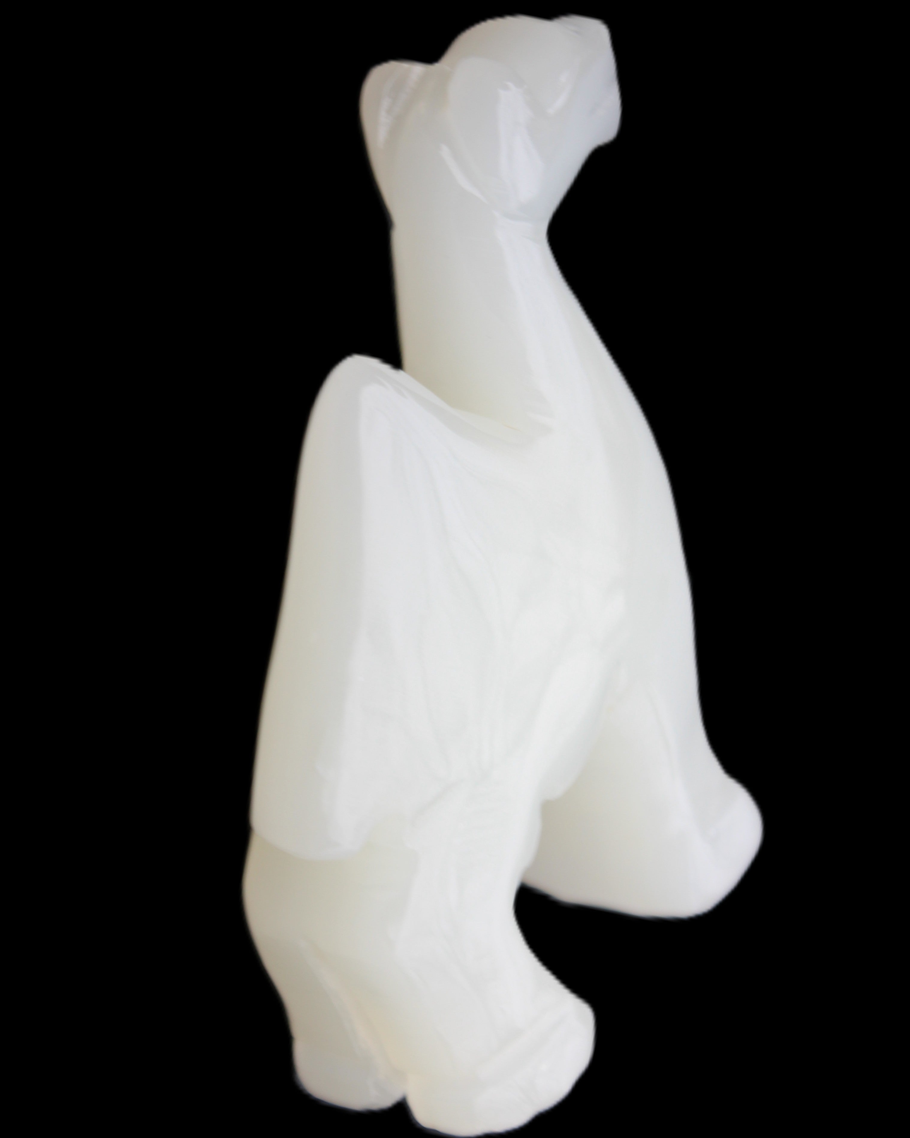 Afghan Jade hand-carved Camel 70*25*98mm 217g in sunlight - Rocks and Things Store