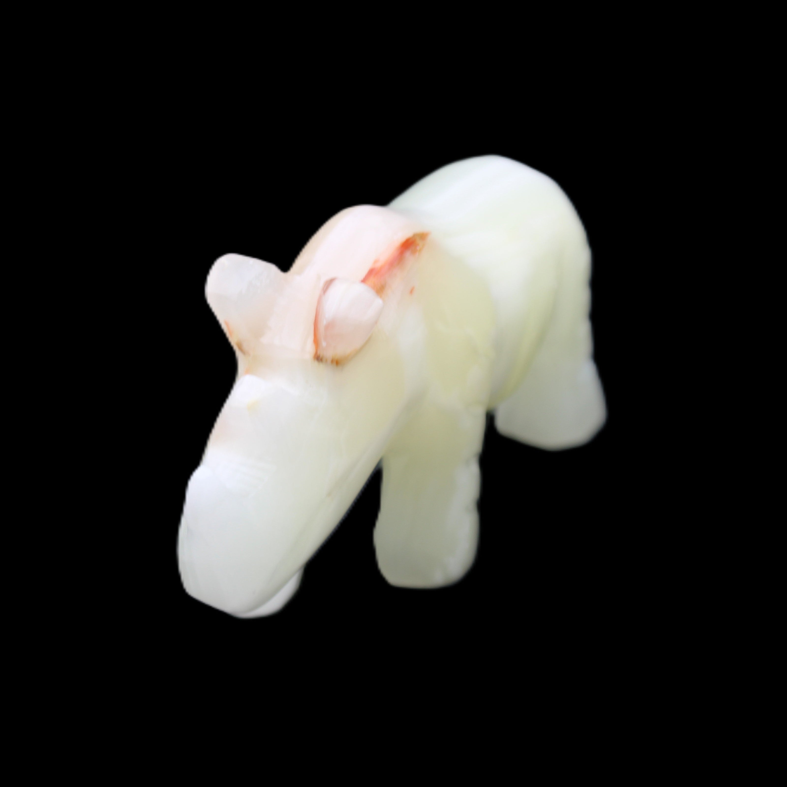 Afghan Jade hand-carved Rhino 100*30*57mm 208g in sunlight - Rocks and Things Store
