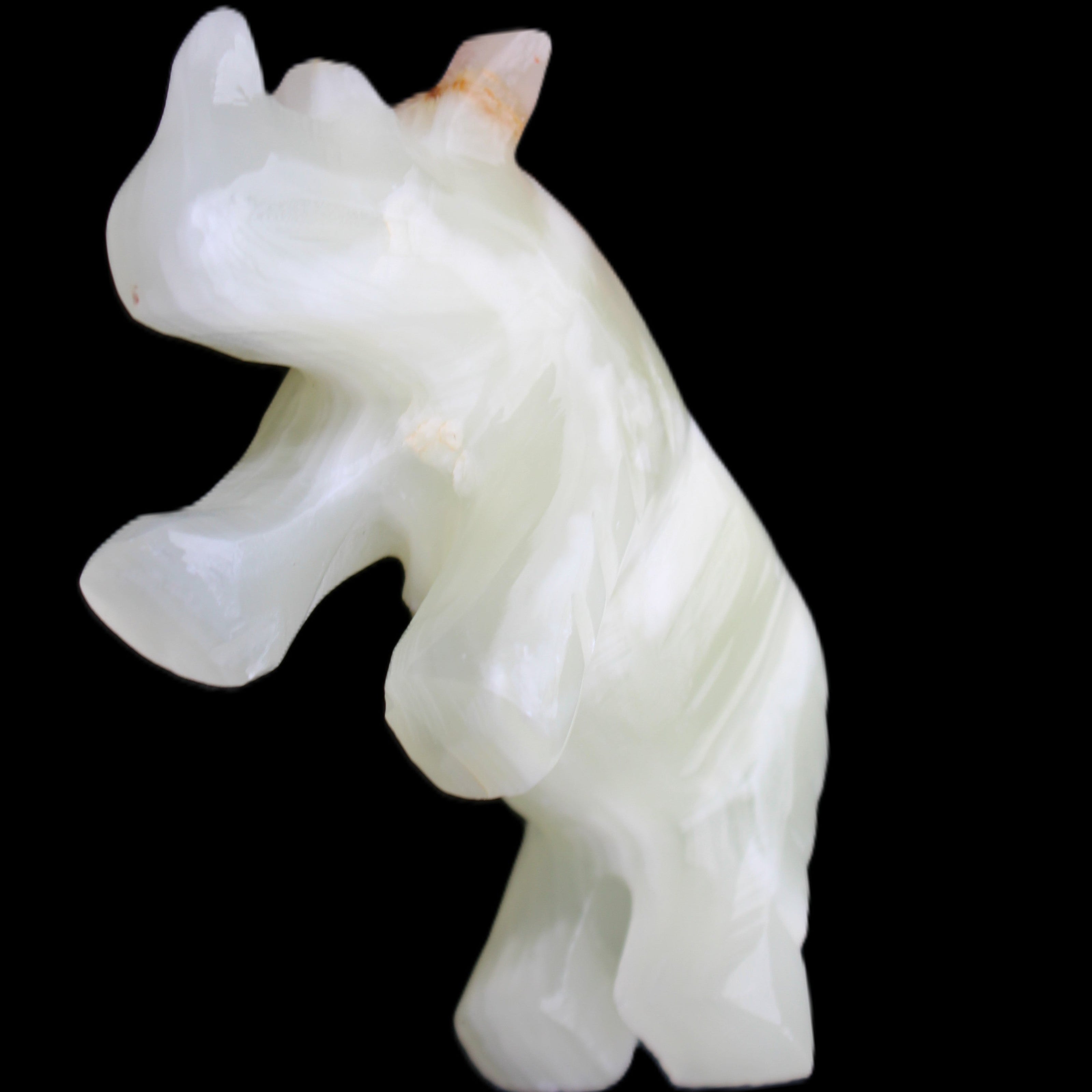 Afghan Jade hand-carved Rhino 100*30*57mm 208g in sunlight - Rocks and Things Store