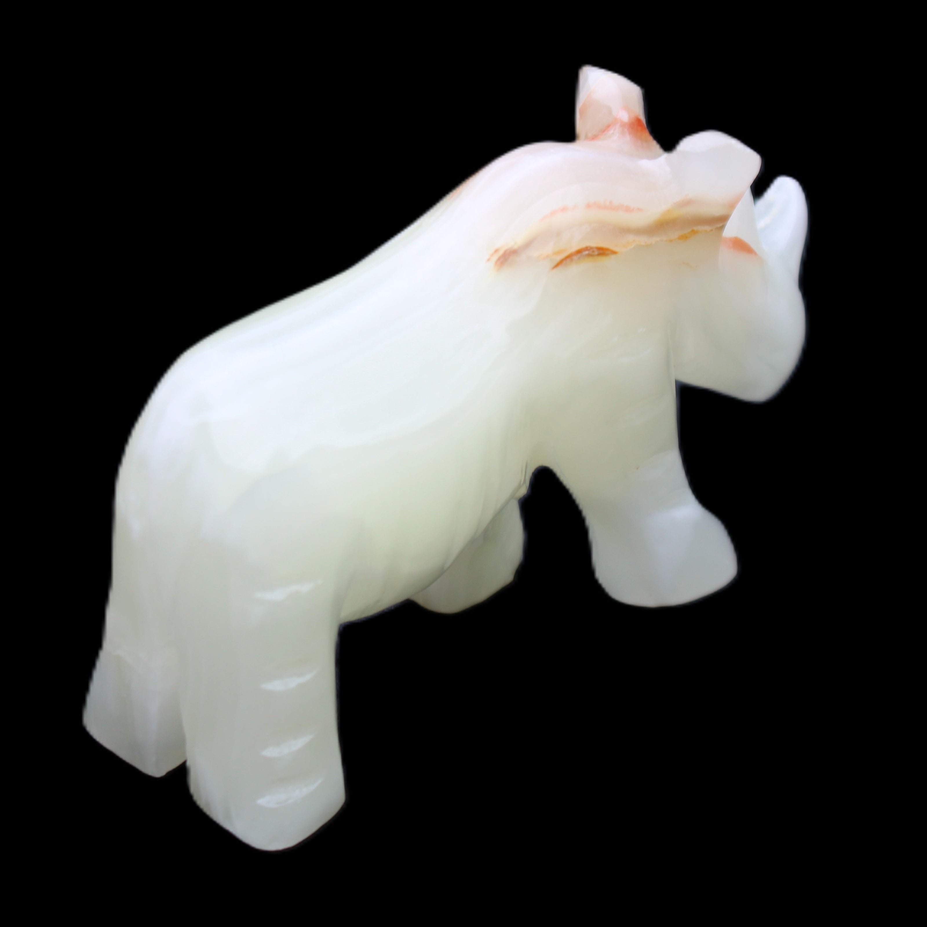 Afghan Jade hand-carved Rhino 100*30*57mm 208g in sunlight - Rocks and Things Store
