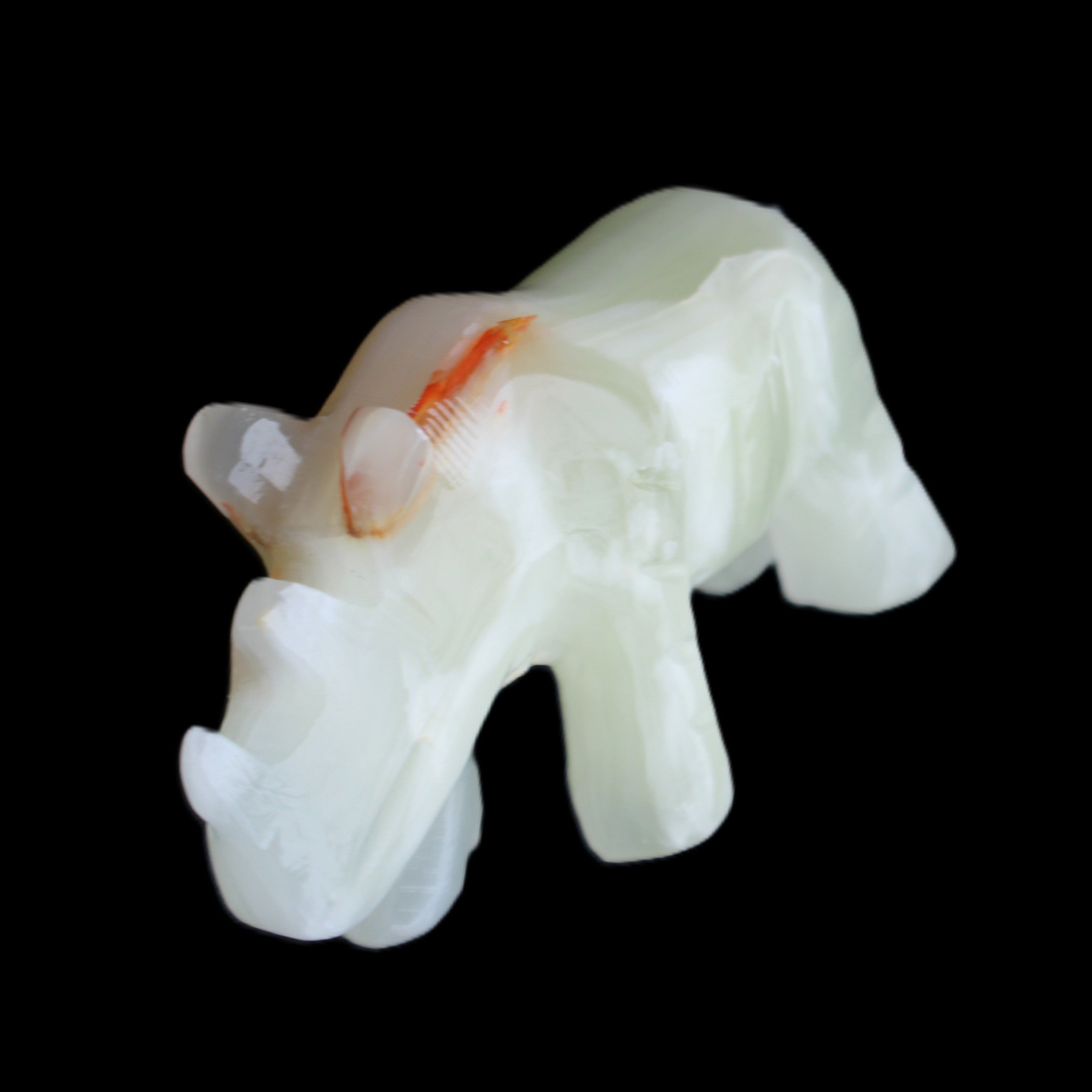 Afghan Jade hand-carved Rhino 100*30*57mm 208g in sunlight - Rocks and Things Store
