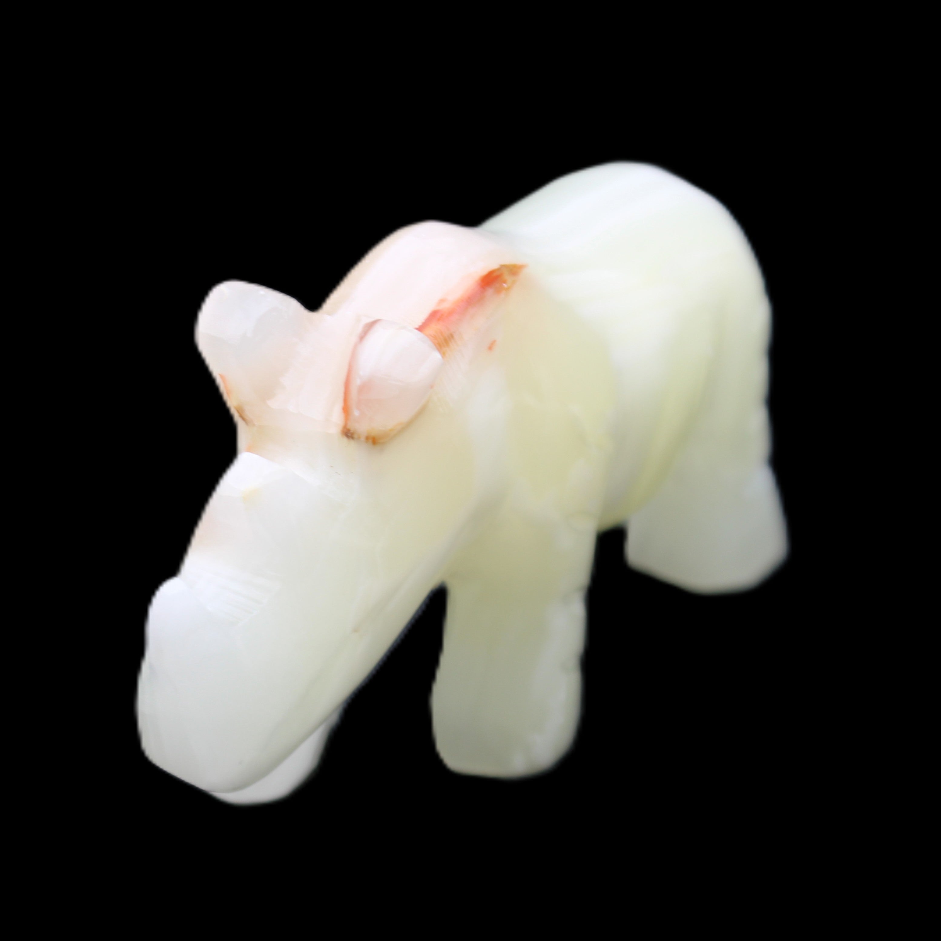 Afghan Jade hand-carved Rhino 100*30*57mm 208g in sunlight - Rocks and Things Store