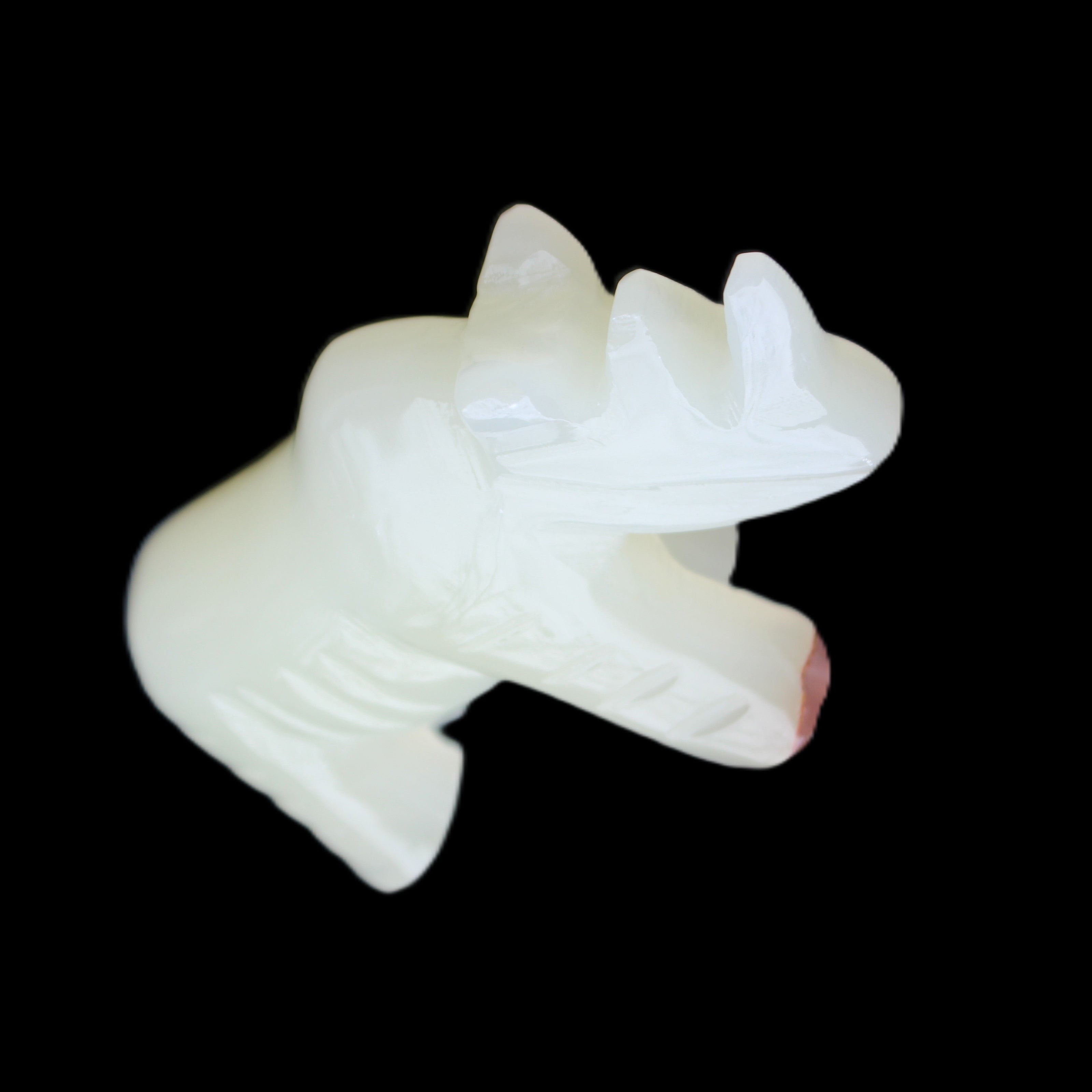 Afghan Jade hand-carved Rhino 100*30*57mm 216g in sunlight - Rocks and Things Store