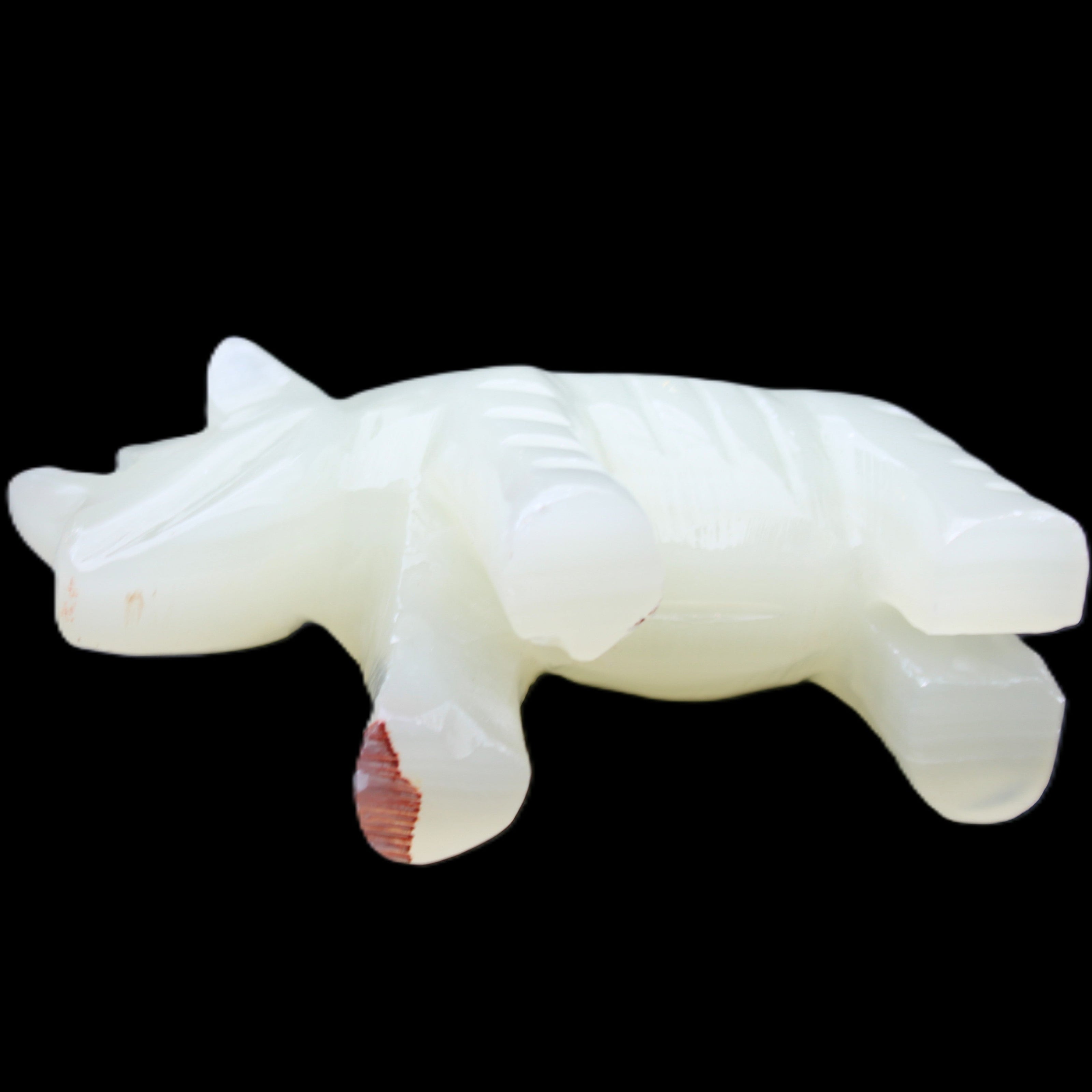 Afghan Jade hand-carved Rhino 100*30*57mm 216g in sunlight - Rocks and Things Store