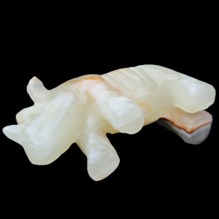 Afghan Jade hand-carved Rhino 98*29*58mm 246g in sunlight - Rocks and Things Store