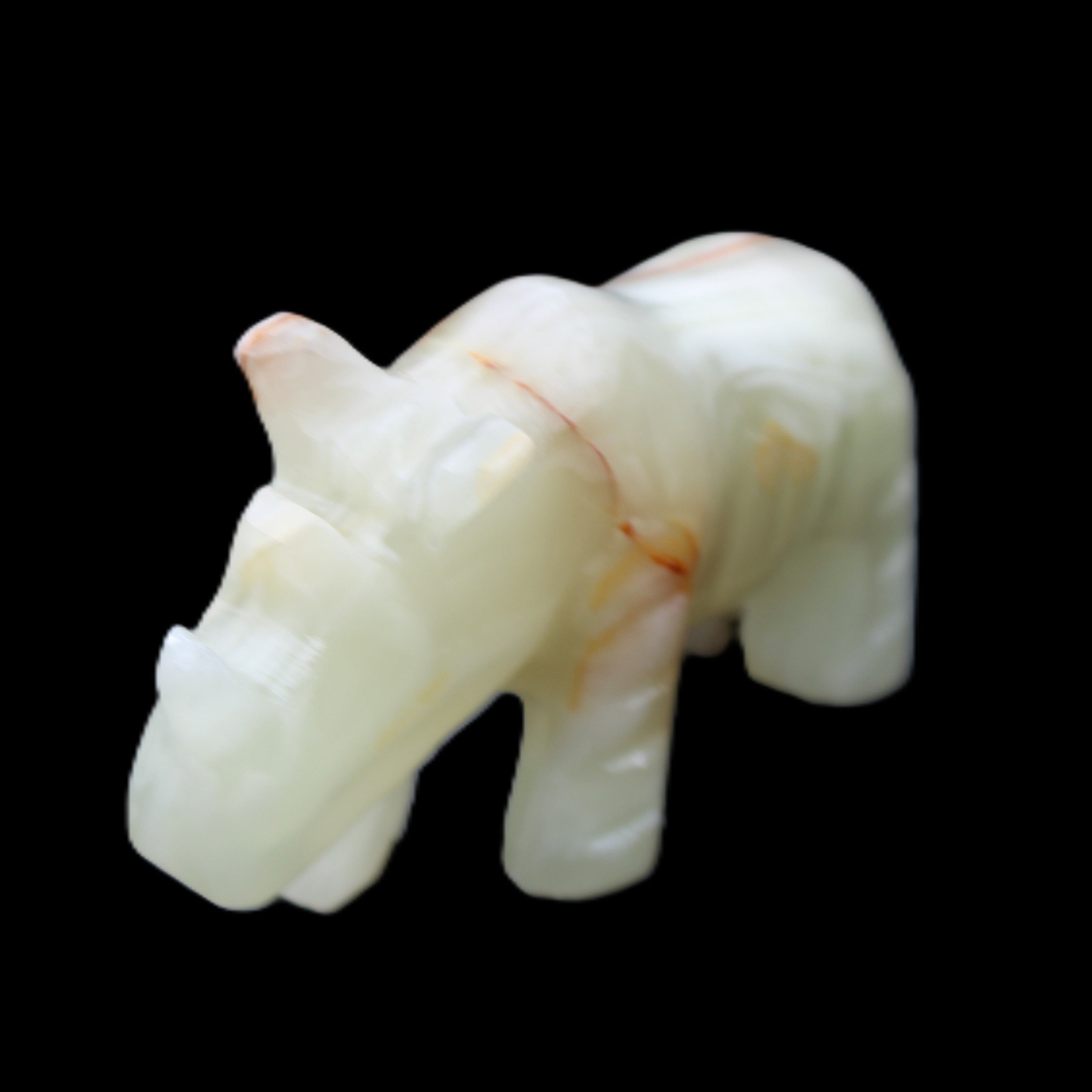 Afghan Jade hand-carved Rhino 98*29*58mm 246g in sunlight - Rocks and Things Store
