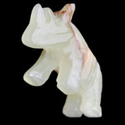 Afghan Jade hand-carved Rhino 105*30*64mm 250g in sunlight - Rocks and Things Store