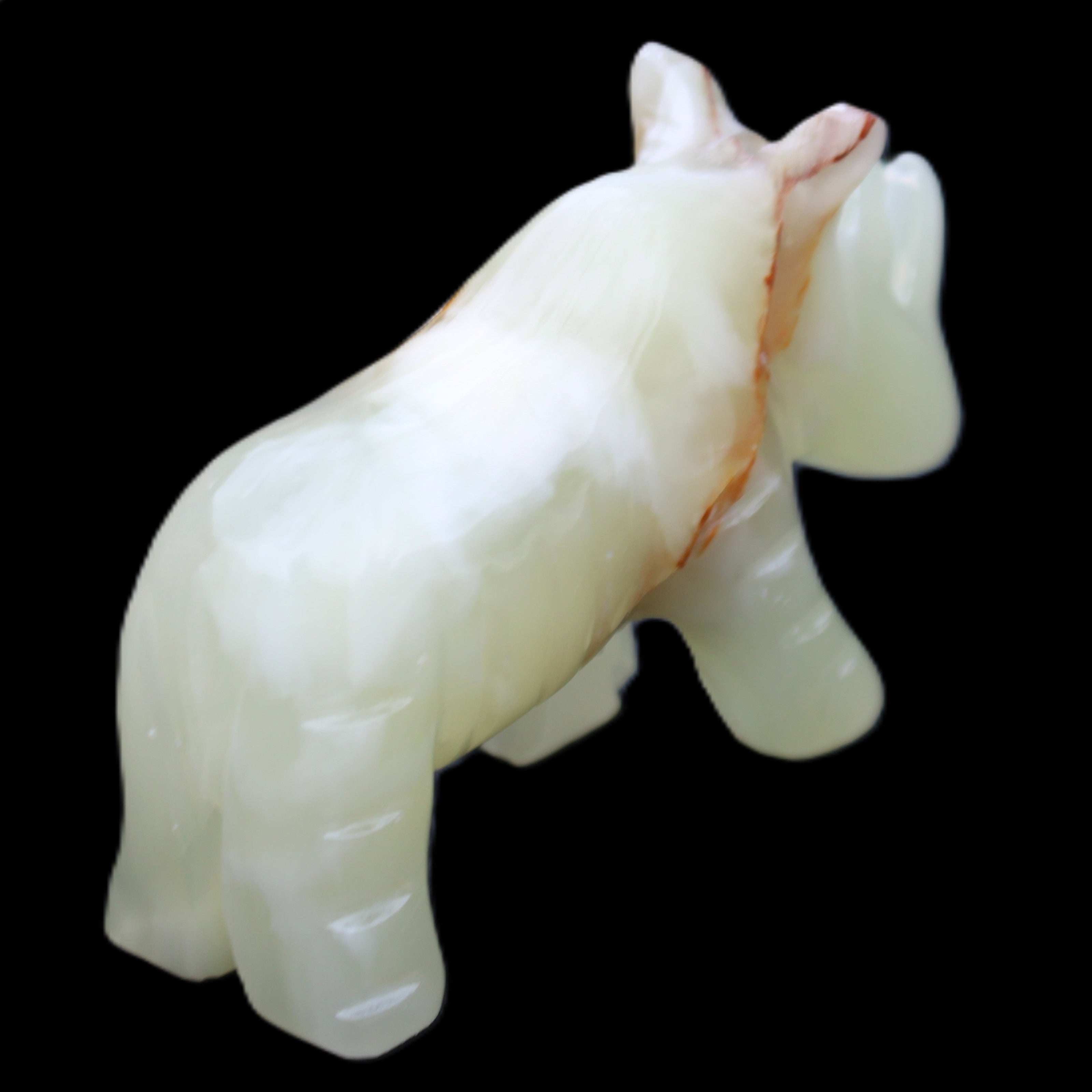 Afghan Jade hand-carved Rhino 105*30*64mm 250g in sunlight - Rocks and Things Store